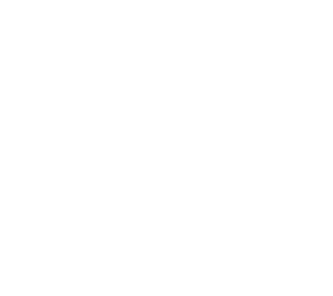 Virelian Global
